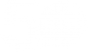 About 50 years logo number 300x179